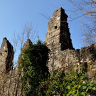 Ruine Neuburg 052.jpg