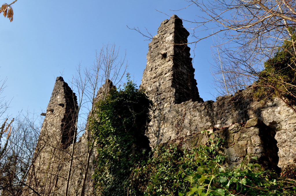 Ruine Neuburg 052.jpg