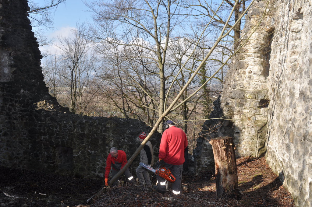 Ruine Neuburg 086.jpg