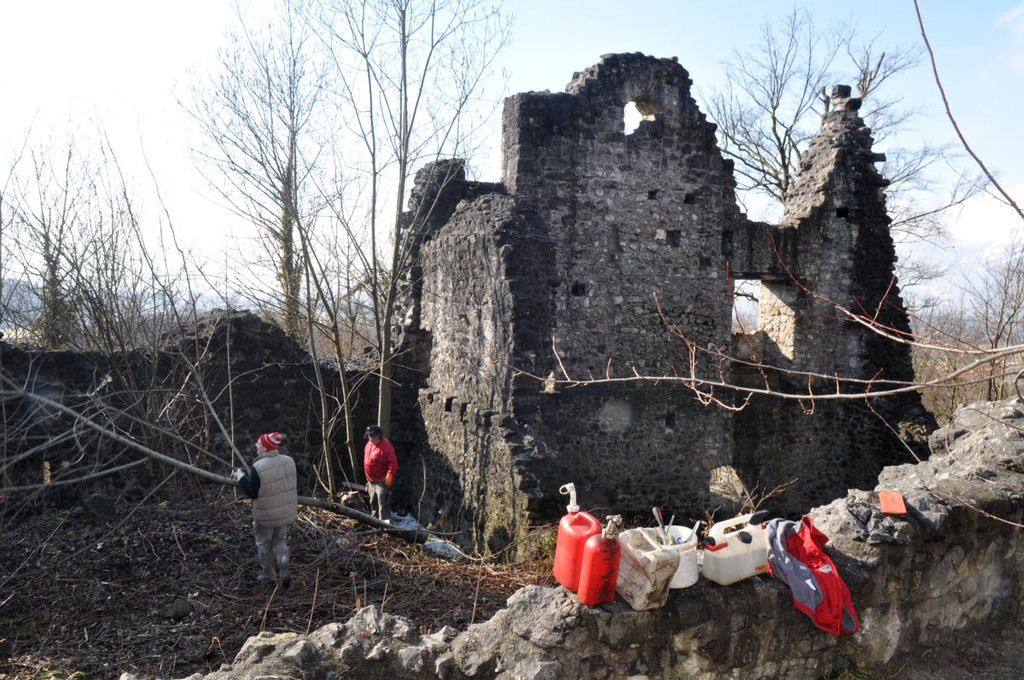 Ruine Neuburg 101.jpg