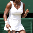 dc1-5py9fy2skc41cne2mei3_original.jpg