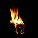 IMG_0265.JPG