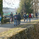 Schiller_1d_jpg-1330375241