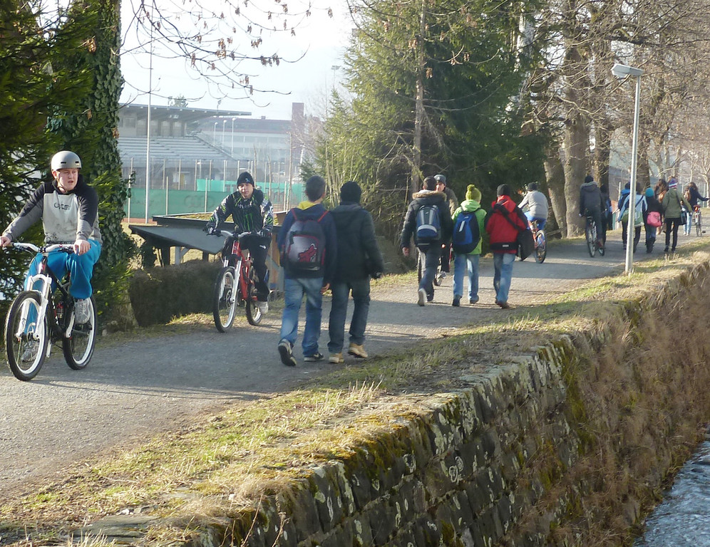 Schiller_1d_jpg-1330375241