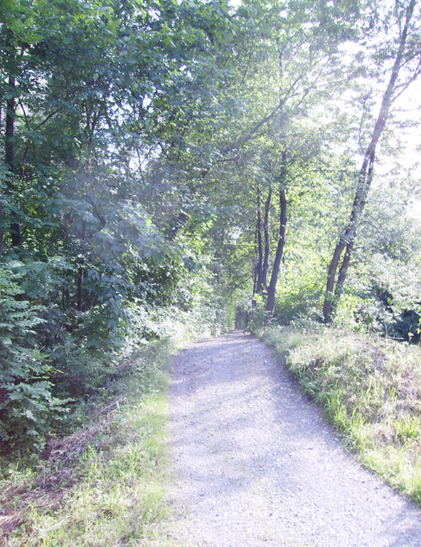 Radweg beim Forsthof_jpg-1330375713