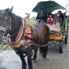 Schwefel5Kutsche_jpg-1330425886