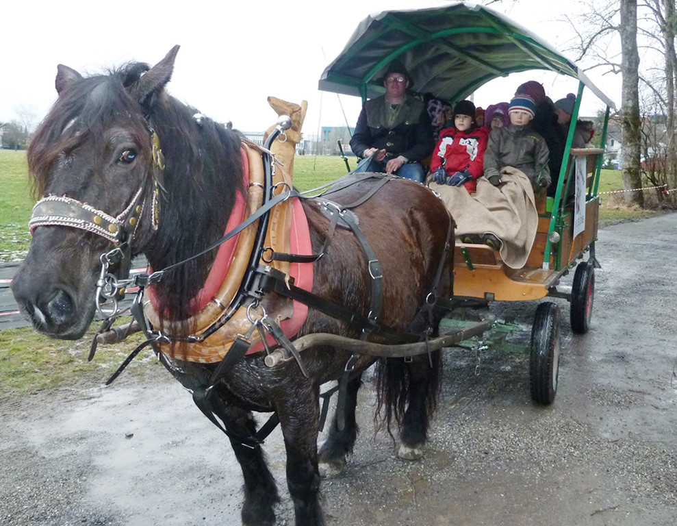 Schwefel5Kutsche_jpg-1330425886