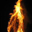 IMG_6175.JPG