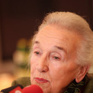 MarionettenWagner28021201.jpg