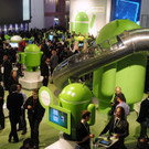 DAB3612-20110217.jpg