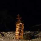 P1050599.jpg