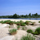 ABD0059-20110617.jpg