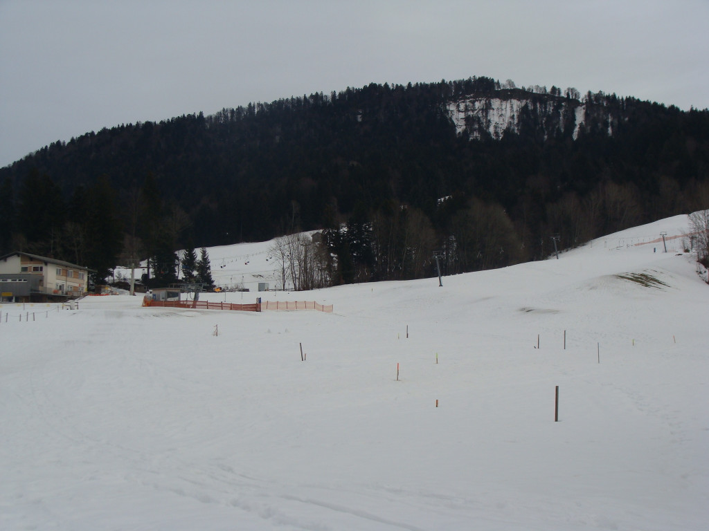 DSC09789.JPG