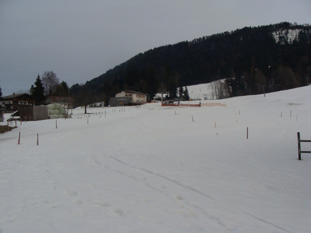 DSC09783.JPG