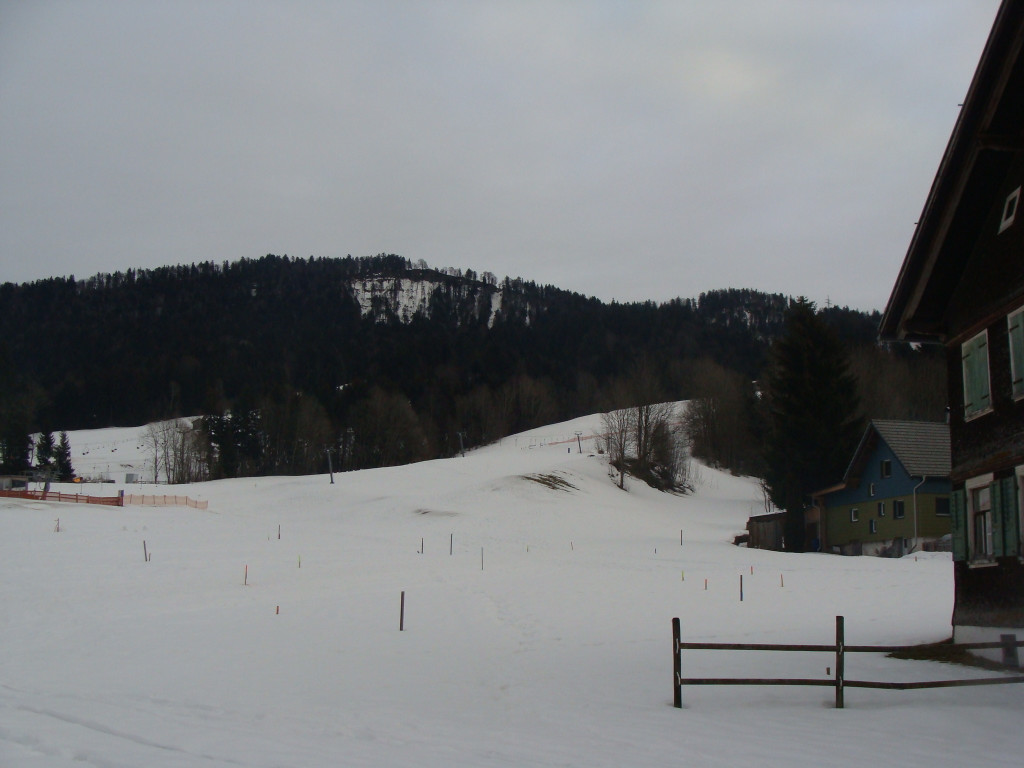 DSC09788.JPG