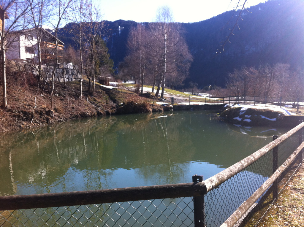 weiher1_jpg-1330513191