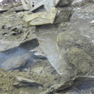 113_8418_JPG-1330553465