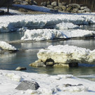 113_8477_JPG-1330553836