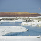 113_8481_JPG-1330553936