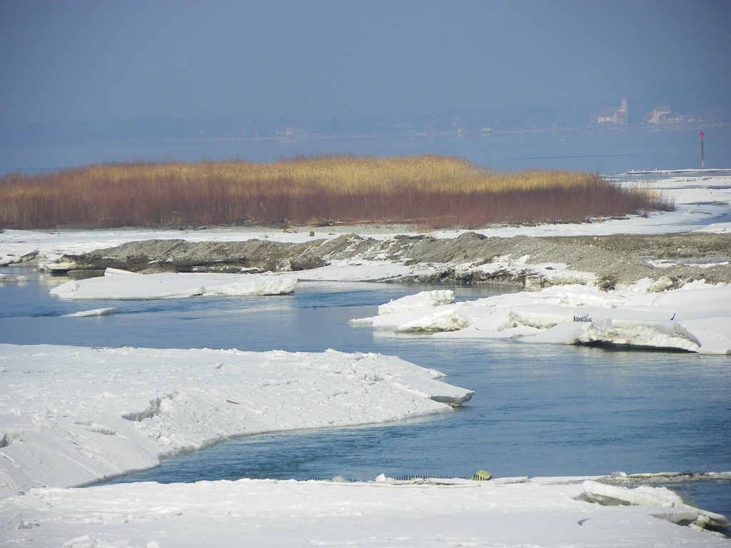 113_8481_JPG-1330553936