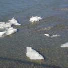 113_8485_JPG-1330554033