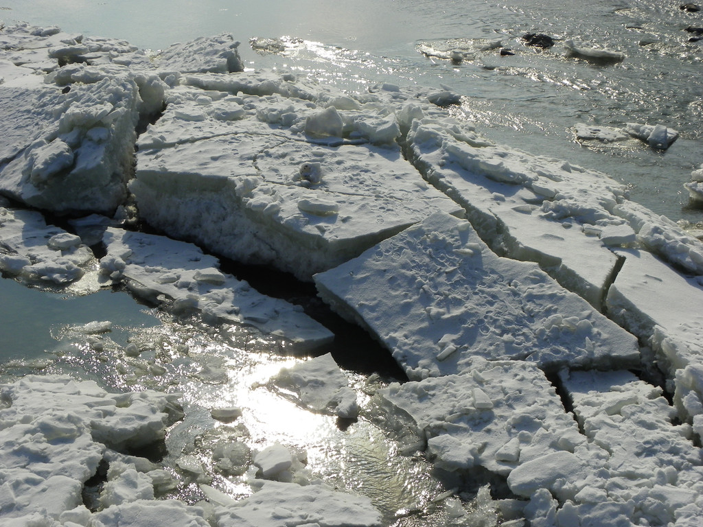 113_8490_JPG-1330554082