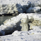 113_8479_JPG-1330553885