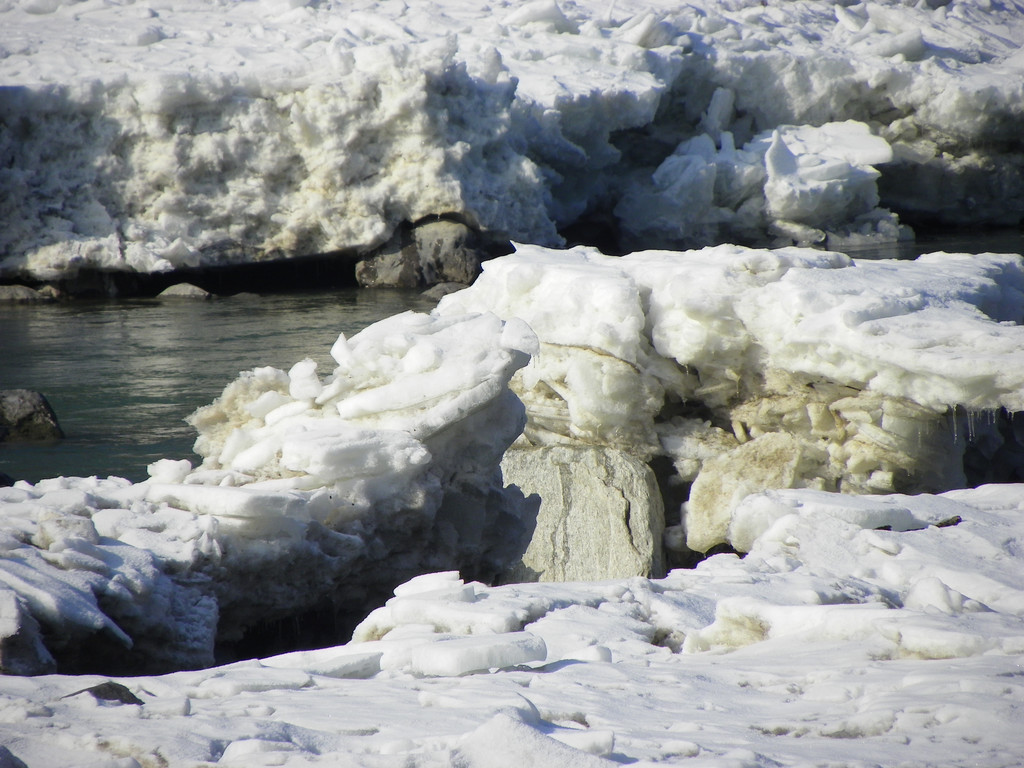 113_8479_JPG-1330553885