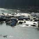 113_8492_JPG-1330554133