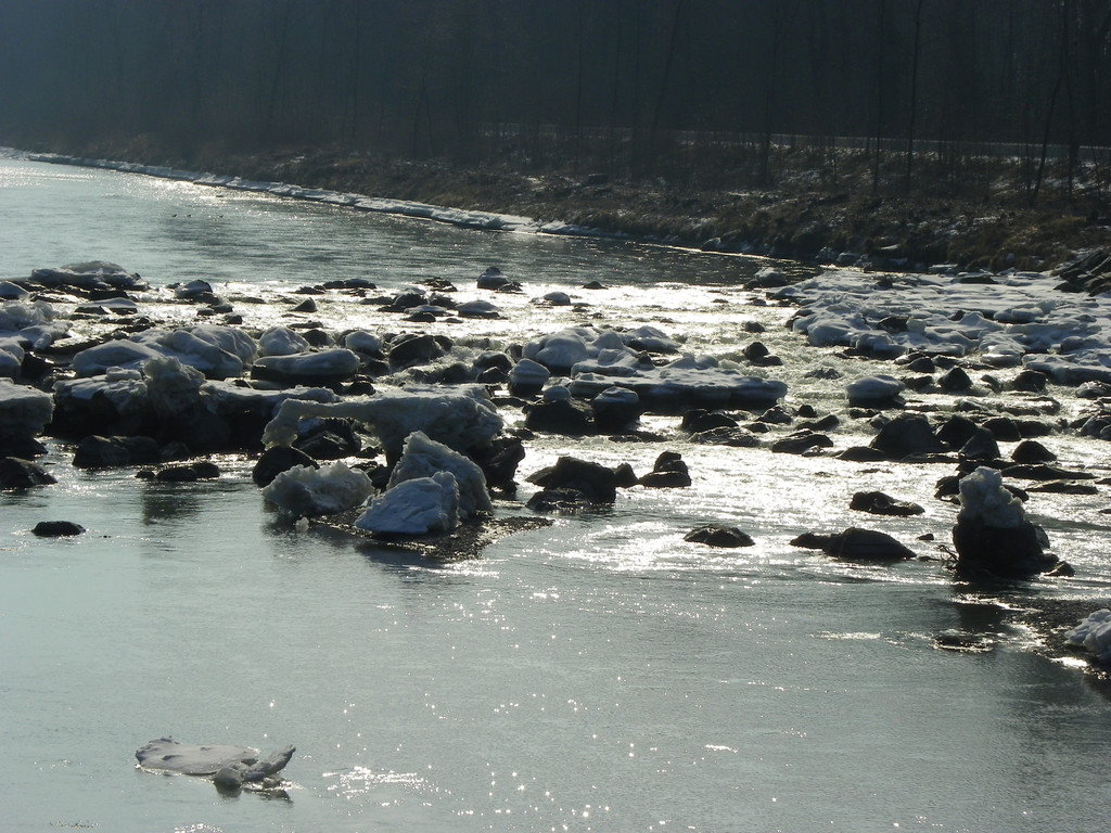 113_8492_JPG-1330554133