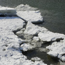 113_8493_JPG-1330554185