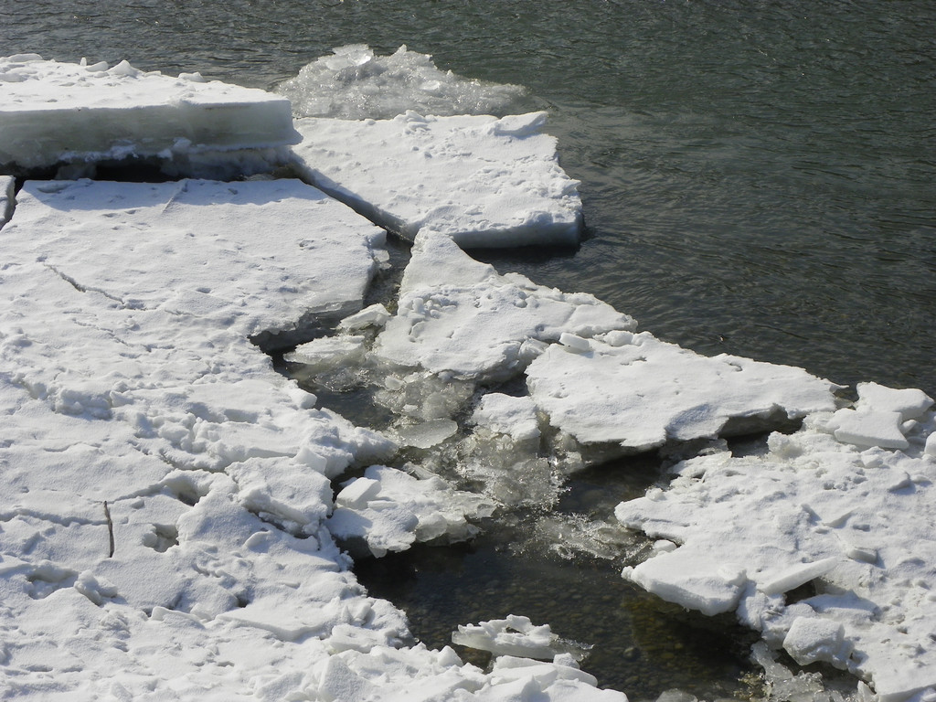 113_8493_JPG-1330554185