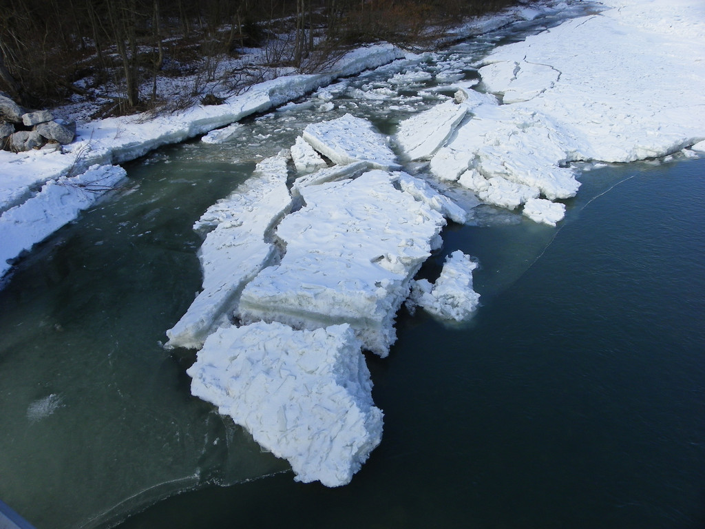 113_8502_JPG-1330554236