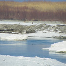 113_8483_JPG-1330553983