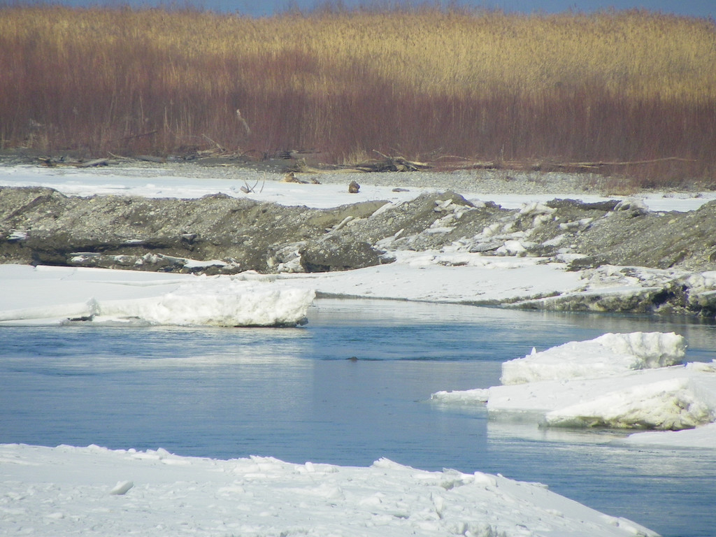 113_8483_JPG-1330553983