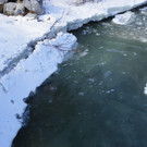 113_8506_JPG-1330554285