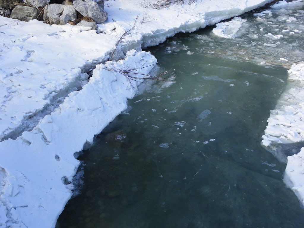 113_8506_JPG-1330554285