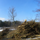 113_8470_JPG-1330554662