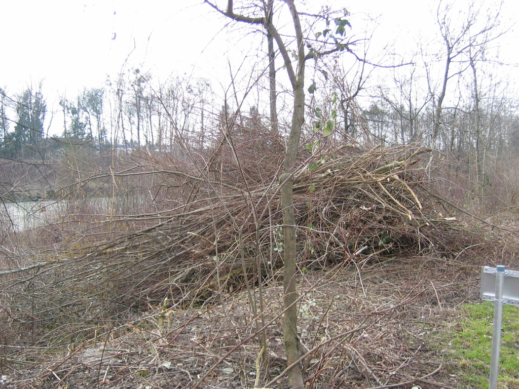 IMG_9624_JPG-1330554787