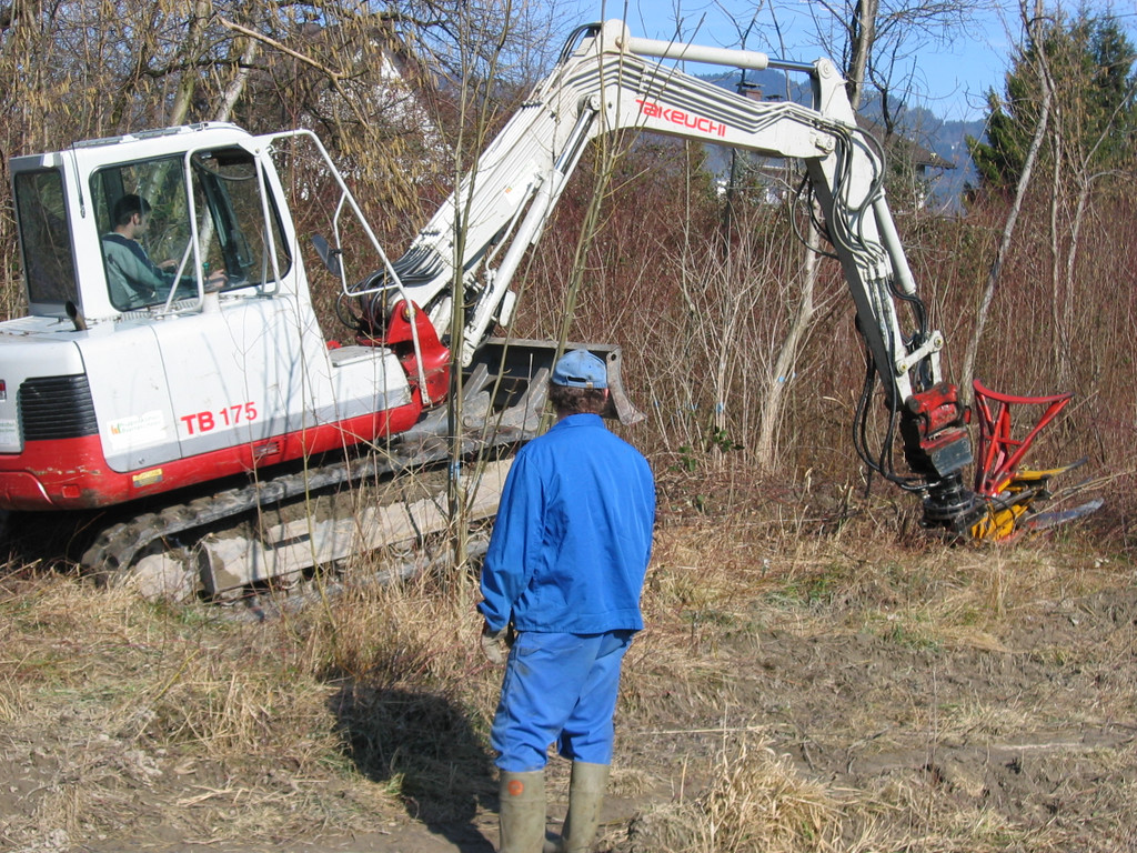 IMG_9656_JPG-1330554922