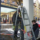 113_8400_JPG-1330555262