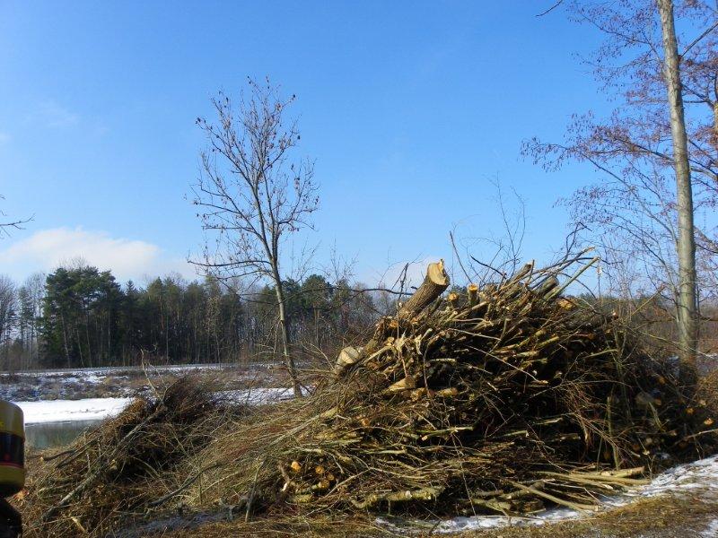 113_8470_jpg-1330555441