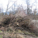 IMG_9632_JPG-1330555603