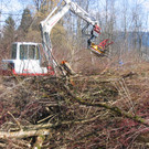 IMG_9642_JPG-1330555660