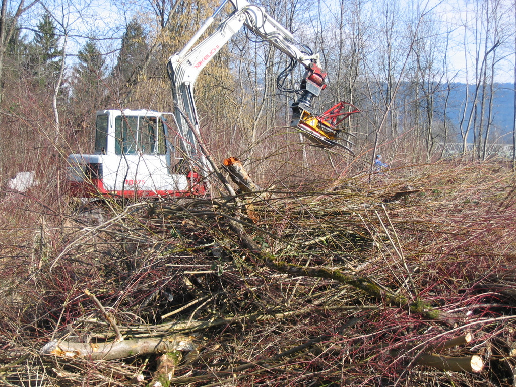 IMG_9642_JPG-1330555660