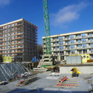 113_8464_JPG-1330555986