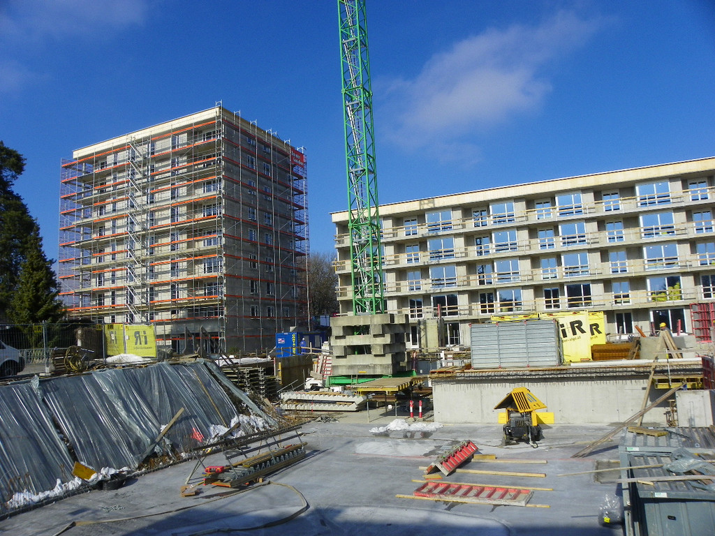 113_8464_JPG-1330555986