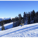 DSC005 _21_.JPG