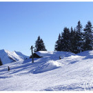 DSC005 _39_.JPG