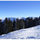 DSC005 _40_.JPG